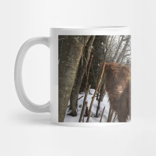 Scottish Highland Cattle Calf 1691 Mug